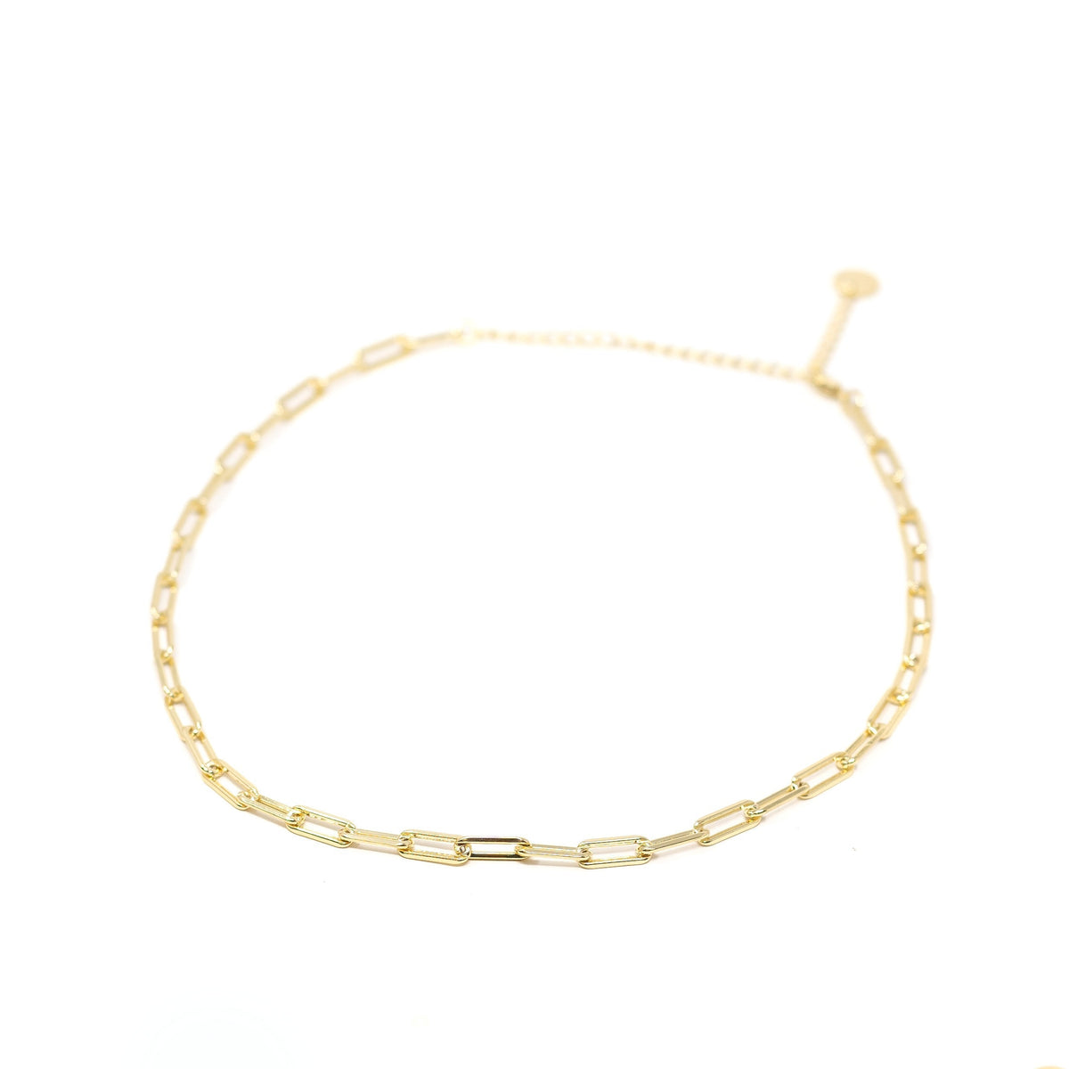 Leo Chain Necklace