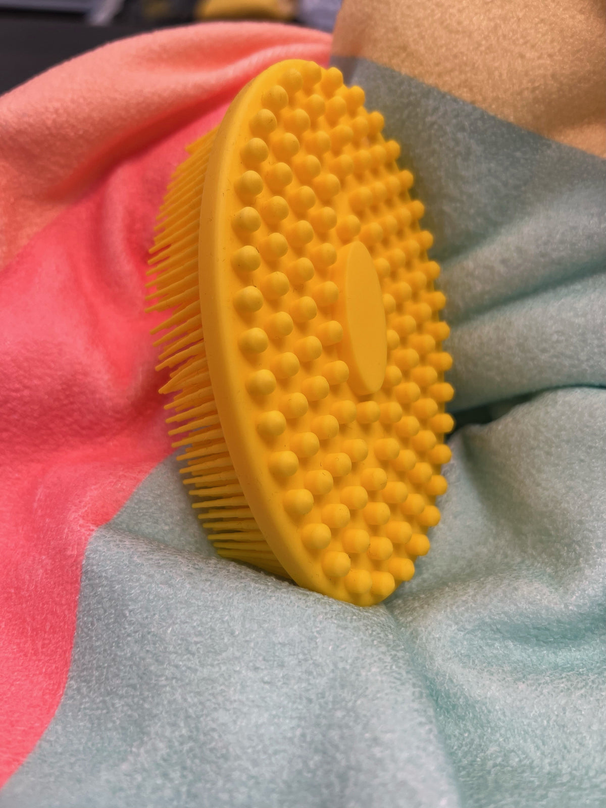 Body & Shampoo Brush