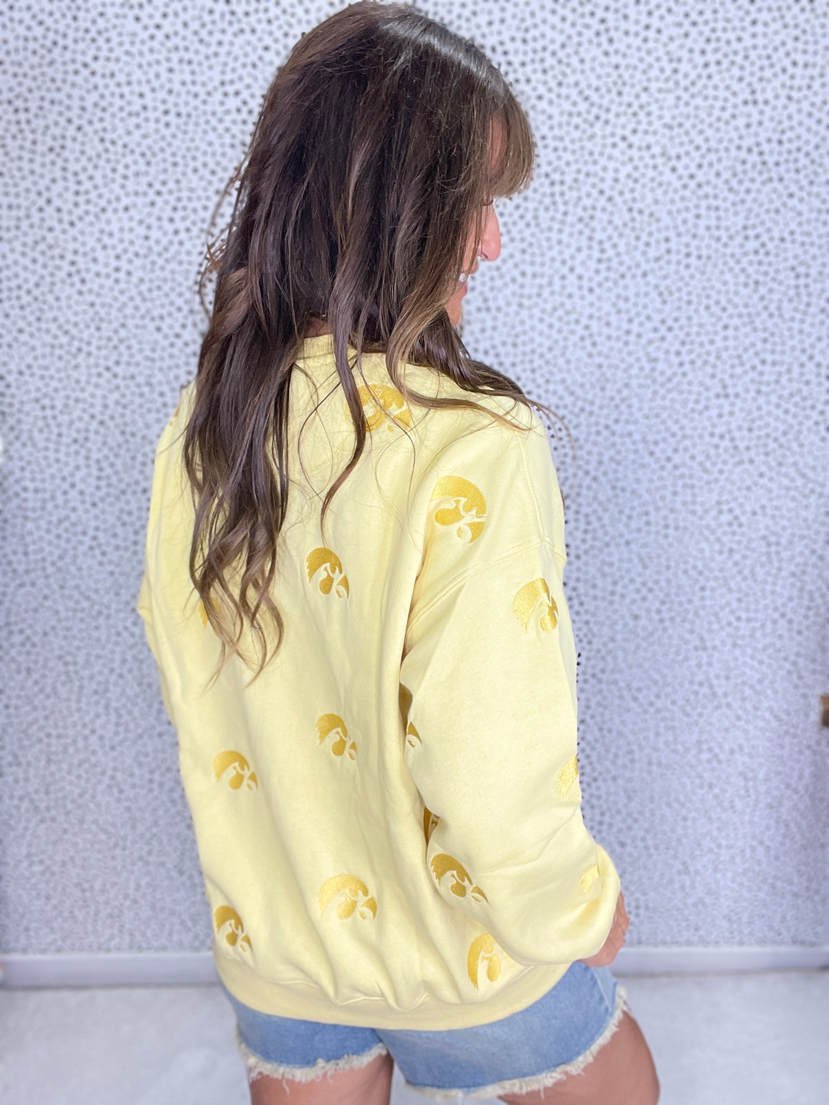 Iowa Repeat Lantern Sleeve Crew
