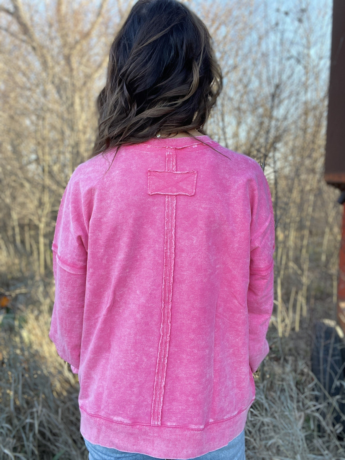 Frosted Details Casual Pullover Crewneck Top In 4 Colors *Final Sale*