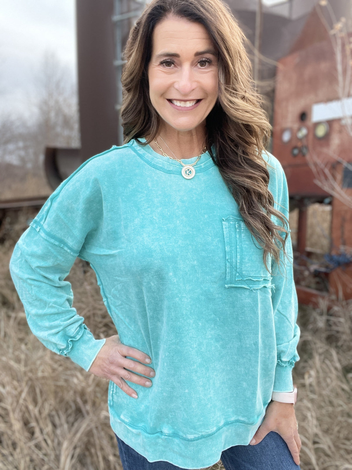 Frosted Details Casual Pullover Crewneck Top In 4 Colors *Final Sale*