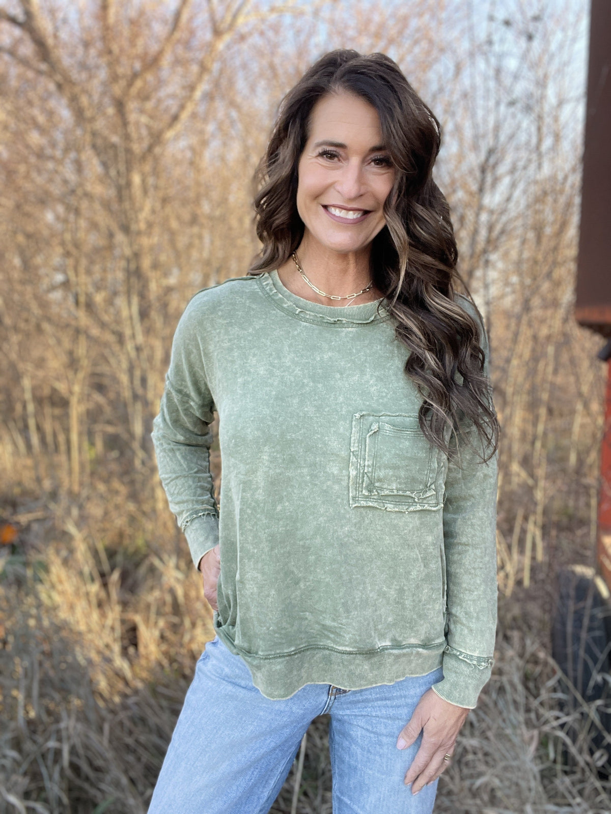 Frosted Details Casual Pullover Crewneck Top In 4 Colors *Final Sale*