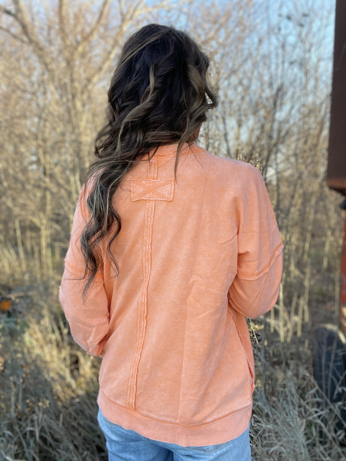 Frosted Details Casual Pullover Crewneck Top In 4 Colors *Final Sale*