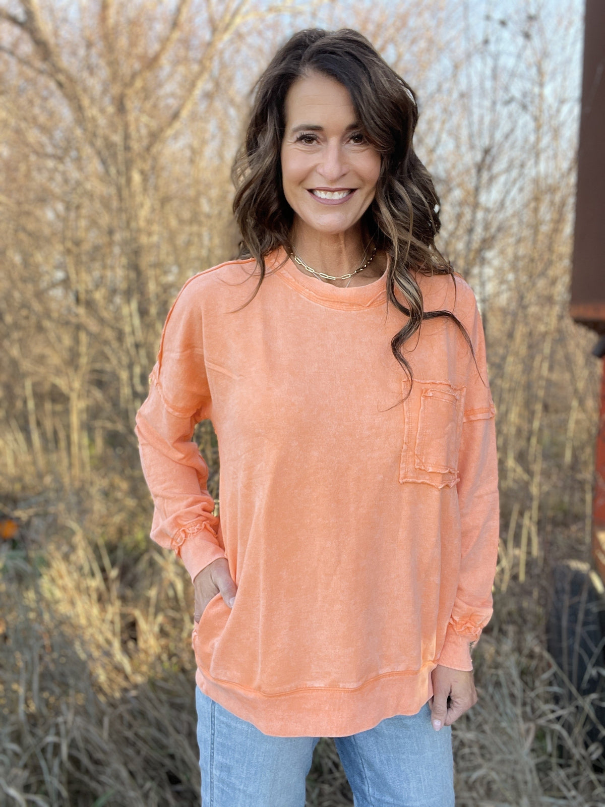 Frosted Details Casual Pullover Crewneck Top In 4 Colors *Final Sale*
